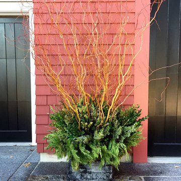 Container Planting Designs