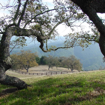 Santa Lucia Preserve