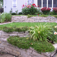The nest Backyard