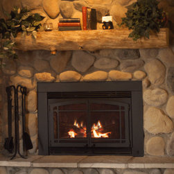 Fireplace Inserts - Indoor Fireplaces