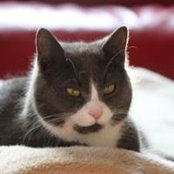Elke Wagner's photo
