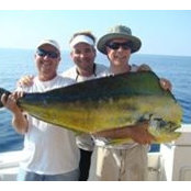Tom Pitneys billede
