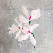 Jackie Farrell's photo