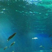 Glenda Oduber's photo