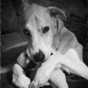 Shelly Sabol's photo