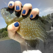 Sara Lederach's photo