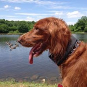 Patty Ruff's photo