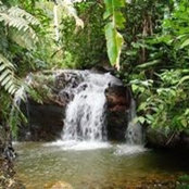 Aleema Salim's photo