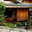 L'architecte jardinier