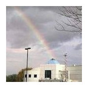 Miriam Rittmaster's photo