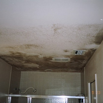 Mold Bathroom Ceiling