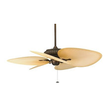 CEINLING FANS