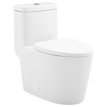 Claire One-Piece Elongated Toilet Dual-Flush 1.1/1.6 gpf