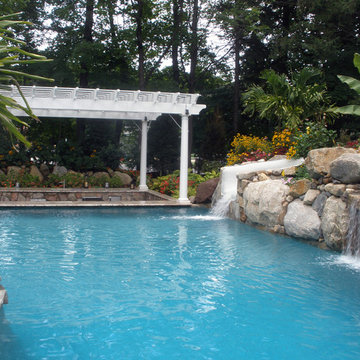 The Tropics in the suburbs