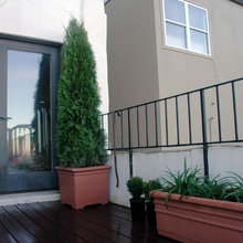 Exterior Ideas