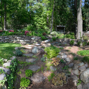 Overview of woodland garden