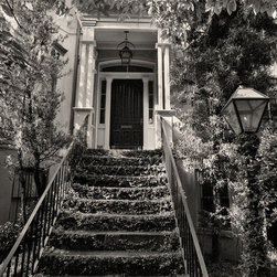 Decorative Iron and Ivy Steps - Savannah - Georgia - Prints And Posters