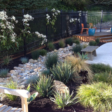 Vegetated swale captures rain water.