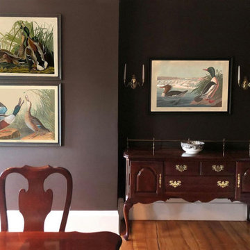 Audubon Prints for Dark Wall Decor Project