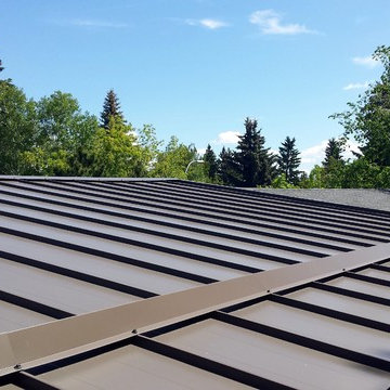 Metal Roofing