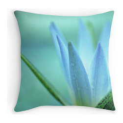Throw Pillows/Cushions & Covers - Decorative Cushions