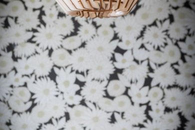 Cette image montre une maison minimaliste.