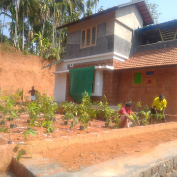 Miyawaki Forest Experts in Kerala | India | Nellickal Nursery | Anish Nellickal