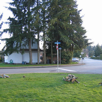 New Westminster D/E Before