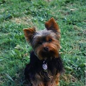 Judith Stier's photo