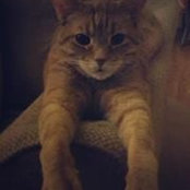 Matthew Buoscio's photo