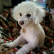 Tammy Yu's photo