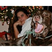 Heidi Cook's photo