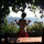 webuser_13173