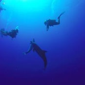 Caroline Drgn's photo