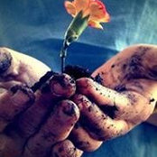 Foto von Jen Dawson Greer
