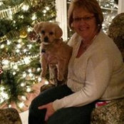 Cindy Holliger's photo