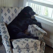 Stephen Albison's photo