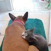 Foto de Mo Greenier