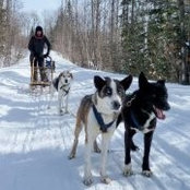Foto de Jenny Tk
