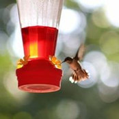 Wendy Conte's photo