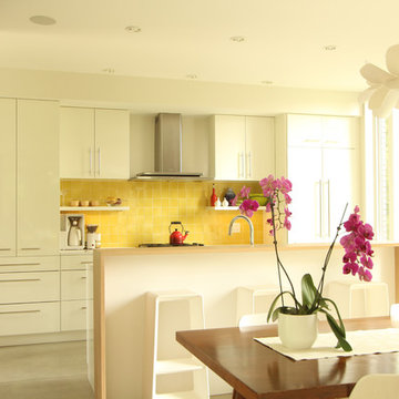 Modern Kitchen with High Gloss White Cabinets