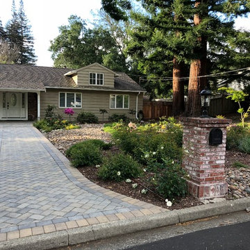 Front Yard Slow and Patient Remodel