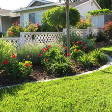front garden