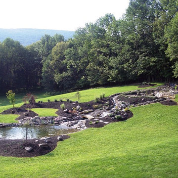 Ponds and water features