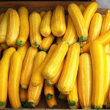 F A R M - Farmers Markets + Roadside Stands