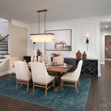 The Sterling Ranch Asheville Model