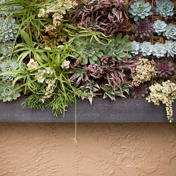 Vertical Garden Design & Ideas