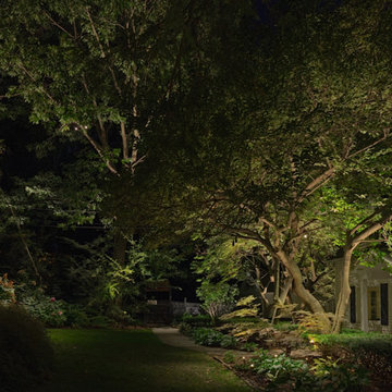 illi permanent HK Landscape Lighting area