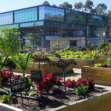 Urban Farms