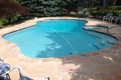 This is an example of a backyard custom-shaped pool in DC Metro with natural stone pavers.